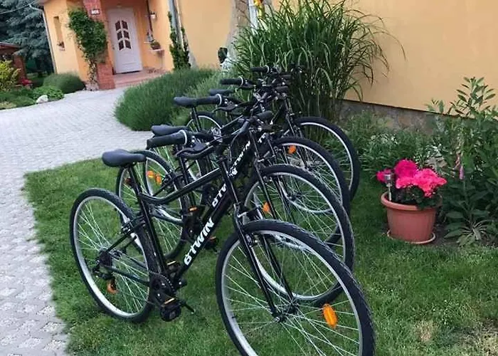 In - Balaton 51780 펜션 *